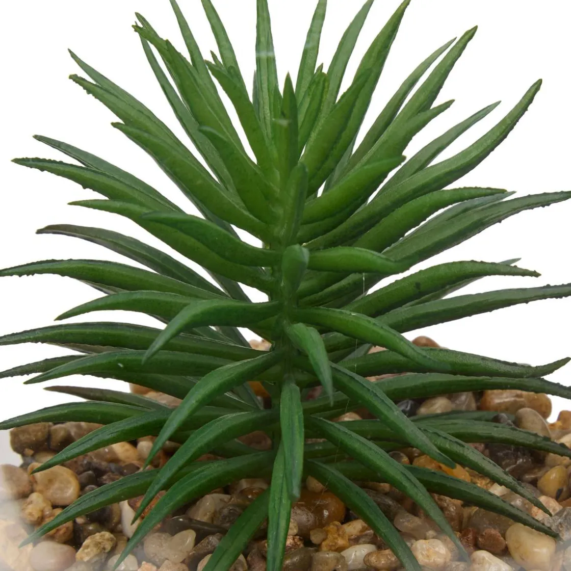 ATMOSPHERA Terrarium "Wilo" Outlet