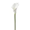 ATMOSPHERA Tige d'arum artificiel Best