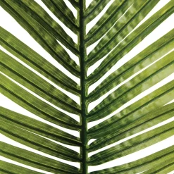 ATMOSPHERA Tige de palmier artificiel Best