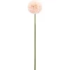ATMOSPHERA Tige de pompons artificiels New