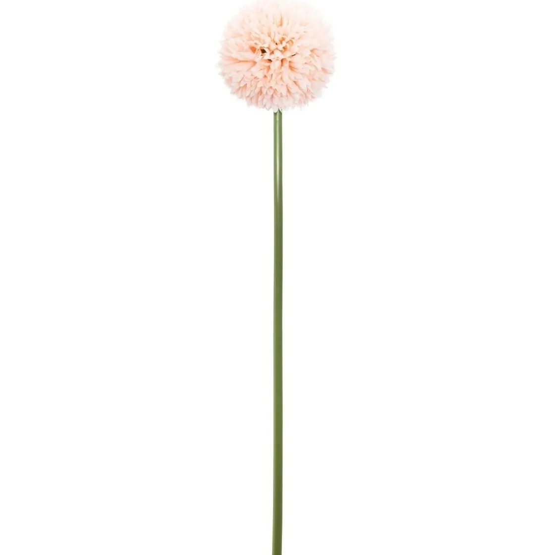 ATMOSPHERA Tige de pompons artificiels New