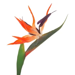 ATMOSPHERA Tige d'oiseau du paradis artificielle Clearance