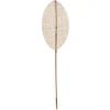 ATMOSPHERA Tige naturelle "Carmen" New