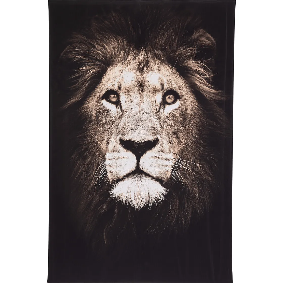 ATMOSPHERA Toile encadrée "Animaux"