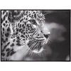 ATMOSPHERA Toile encadrée "Animaux" Clearance