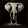 ATMOSPHERA Toile imprimée "Animaux" Online