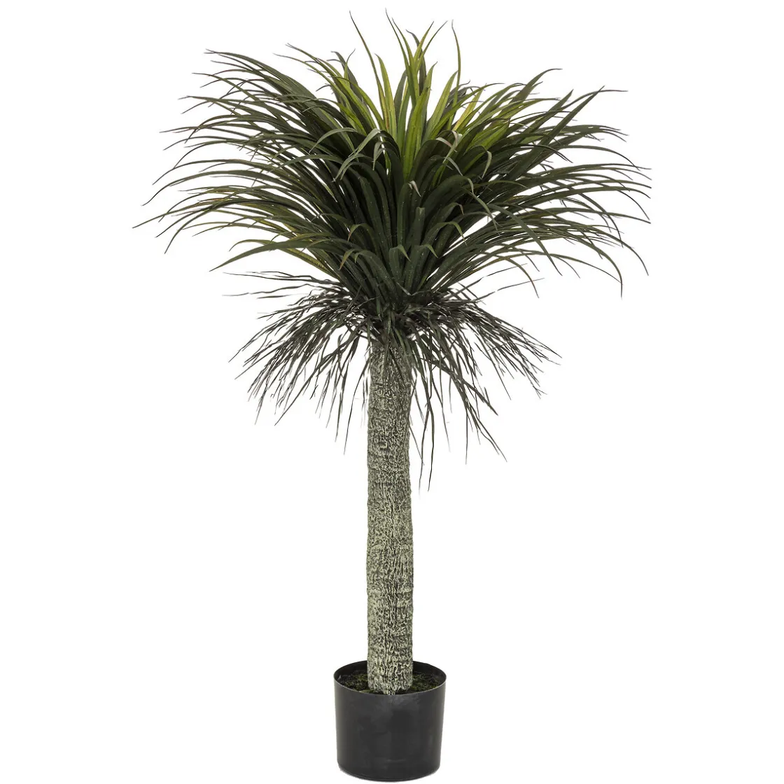 ATMOSPHERA Yucca artificiel "Tropiques" Hot