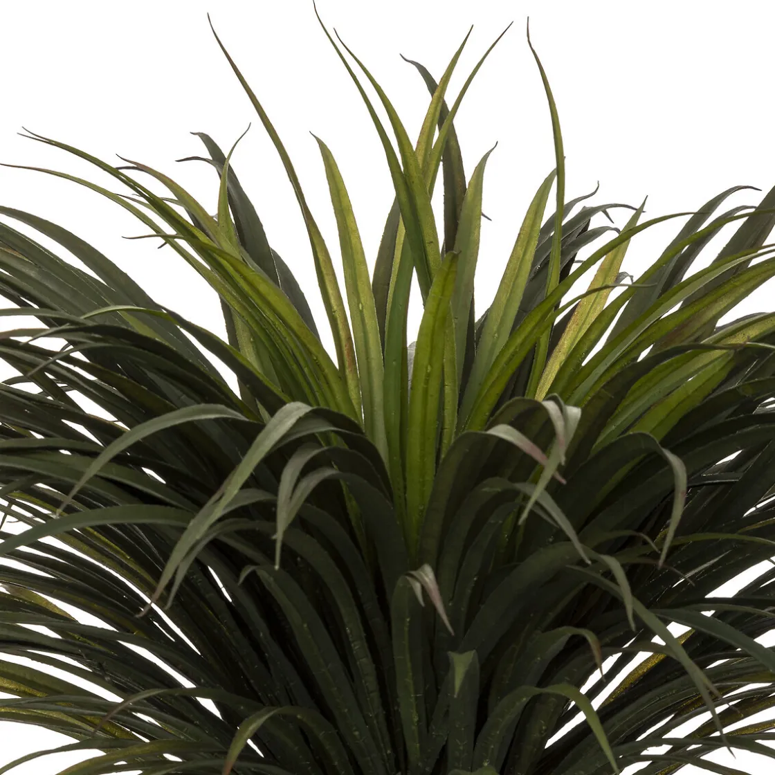 ATMOSPHERA Yucca artificiel "Tropiques" Hot